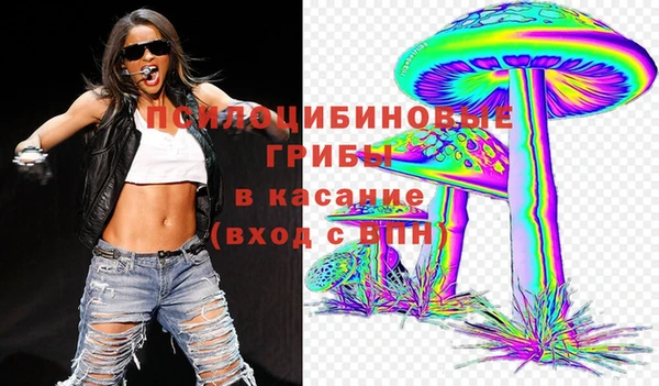 мяу мяу мука Баксан